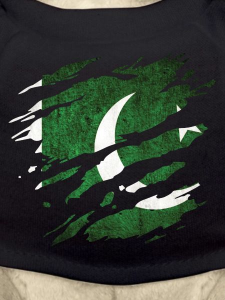 Pakistan - drapeau national, égratignures, fissures