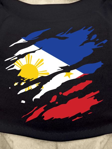 Philippines - drapeau national, rayures, fissures