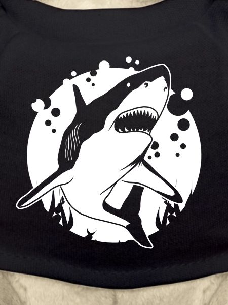 Shark