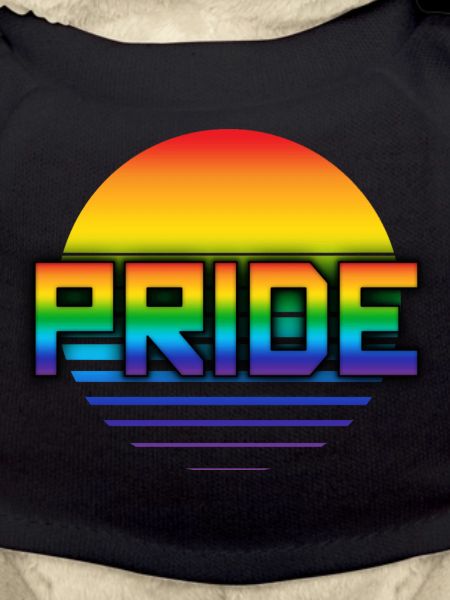 Rainbow Pride Synthwave