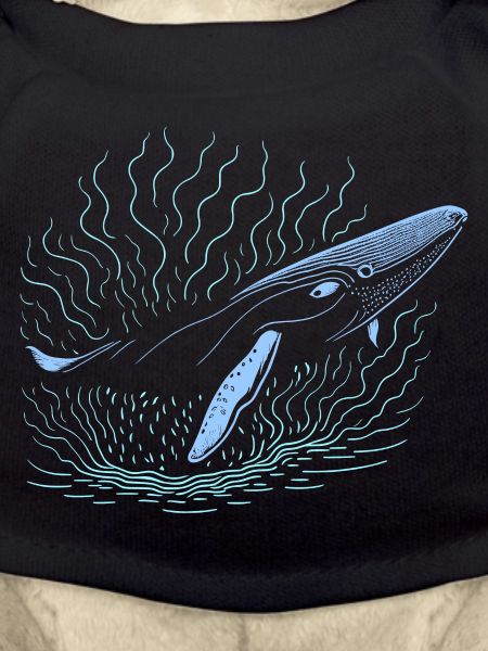 Big whale