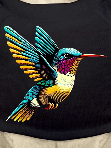 Colibri