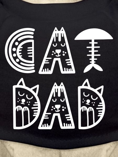 Cat, Cat Lover, Cat Owner