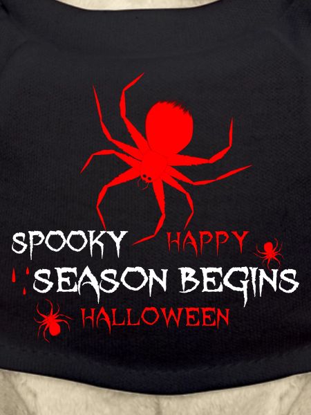 Halloween Spider Spooky Time