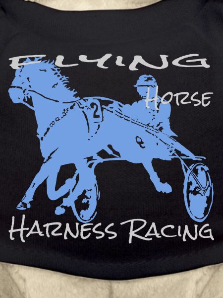 Trotter trotting race