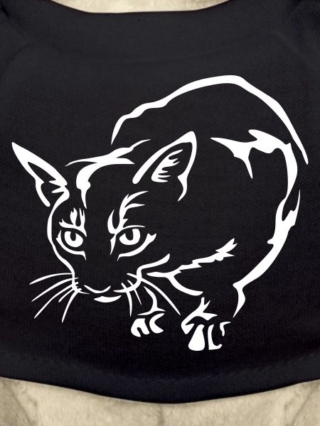 Abyssiner Cat "Black Edition"