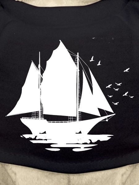 Sailing Ship Sketch