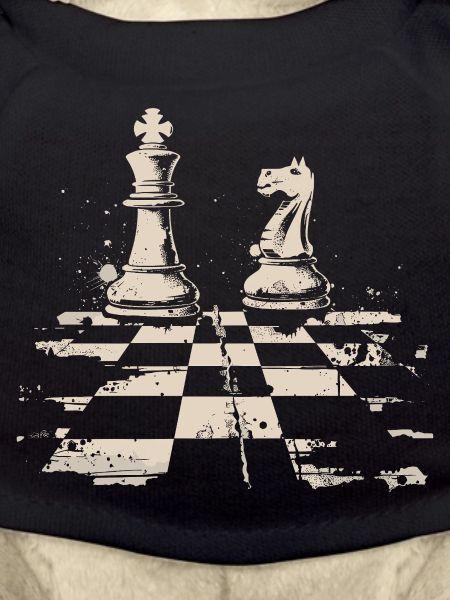 Schach