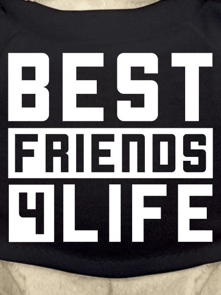Beste Freunde Spruch Freundschaft