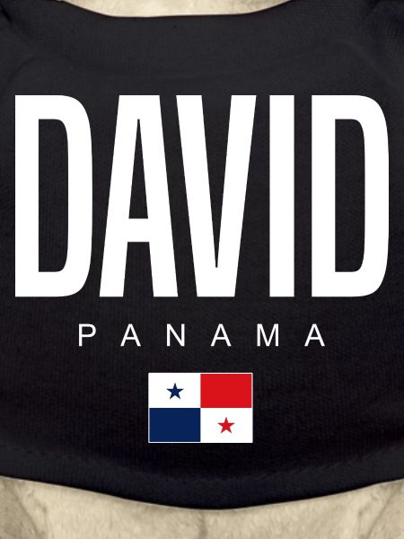 David Panama Panamanian
