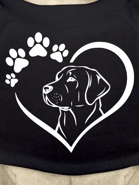 Labrador Retriever Art Dog