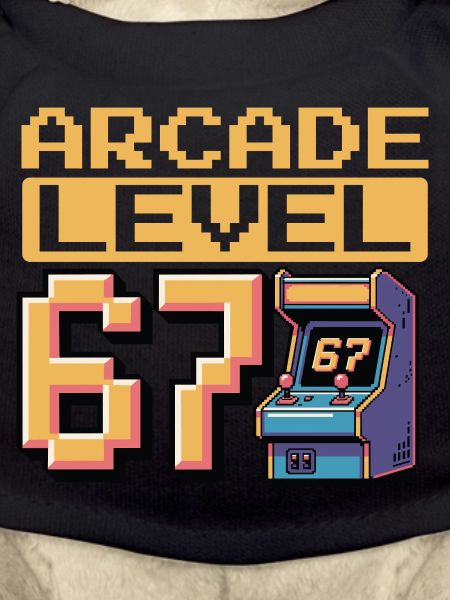 Arcade Level 67 Pixel Art