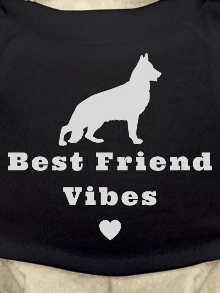 German Shepherd dog