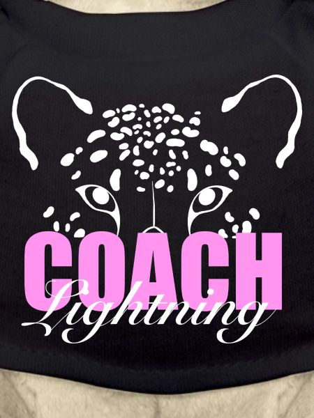 Lightning Coaches T-Shirt
