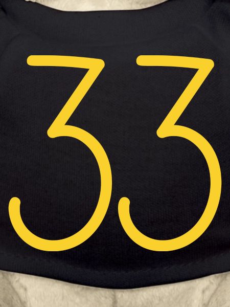 33