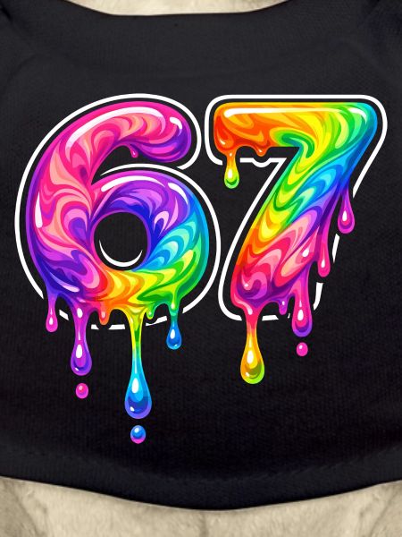 67 Six Meme Seven Alpha Slang
