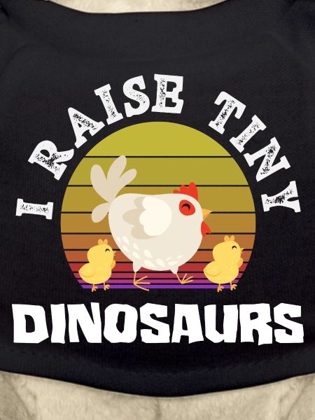 I raise little dinosaur chickens