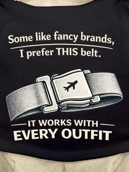 THIS Belt Spruch: Sitzgurt Flugzeug