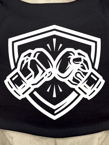 Boxhandschuhe Wappen