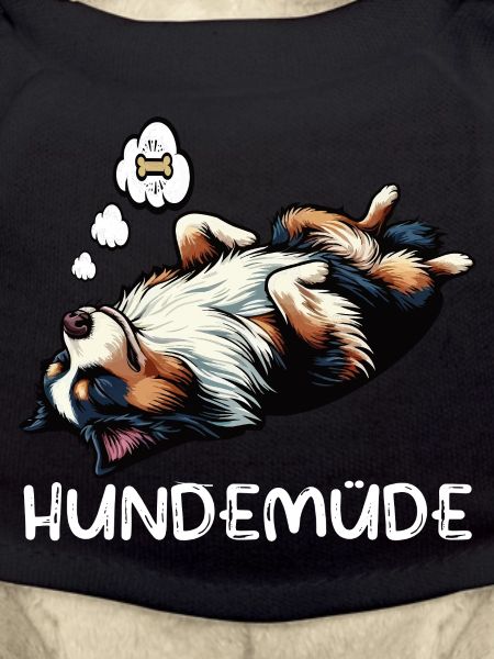 Hundemüde Australian Shepherd Aussie Aussiehalter