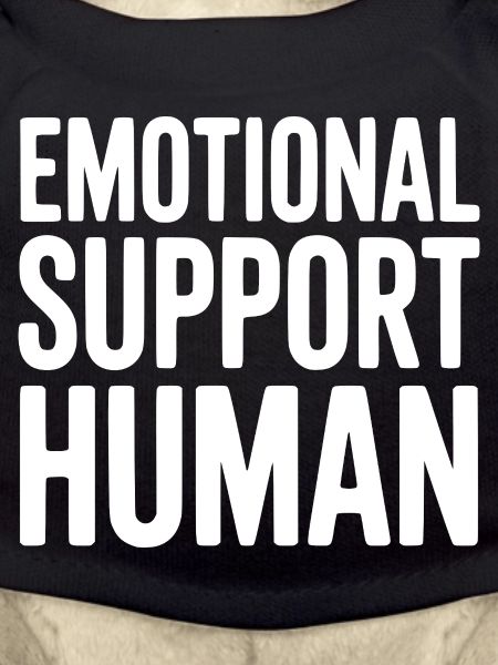 Emotional Support Human