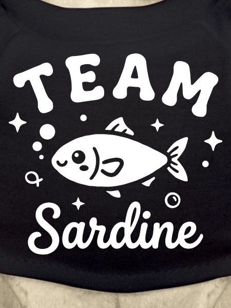 Sardine Team - nautical design