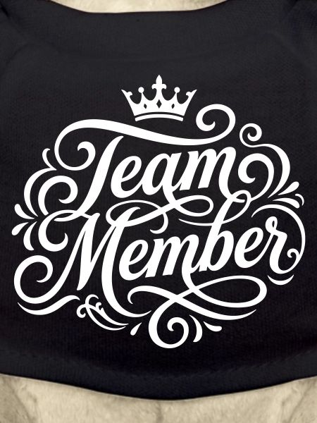 Team Mitglied