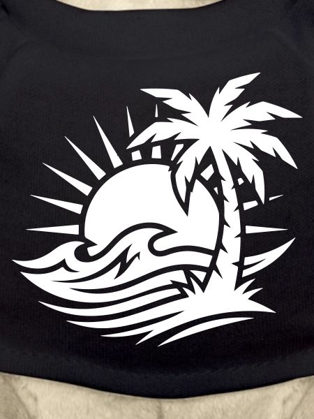 Palm Tree Beach Ocean