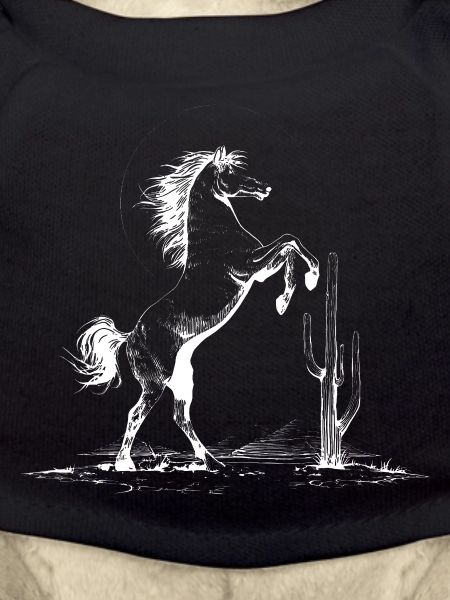 Desert Stallion Silhouette