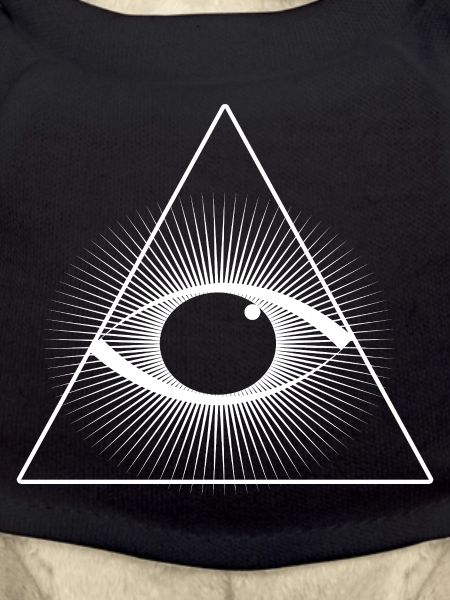 All-seeing eye in triangle