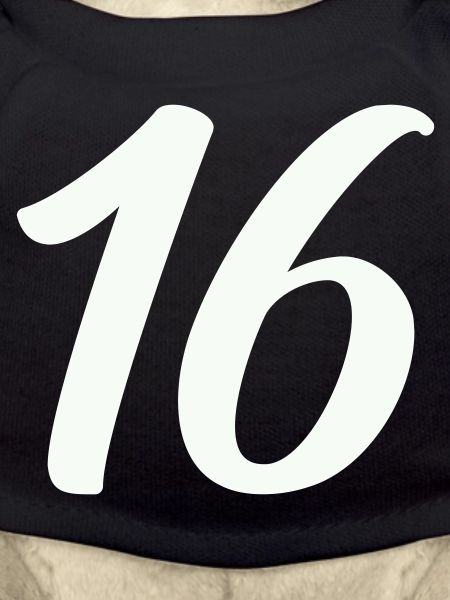 16-