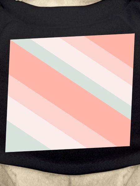 Pastel Diagonal Stripes Peach Mint