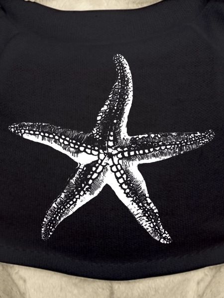 Starfish Silhouette Ink Sketch