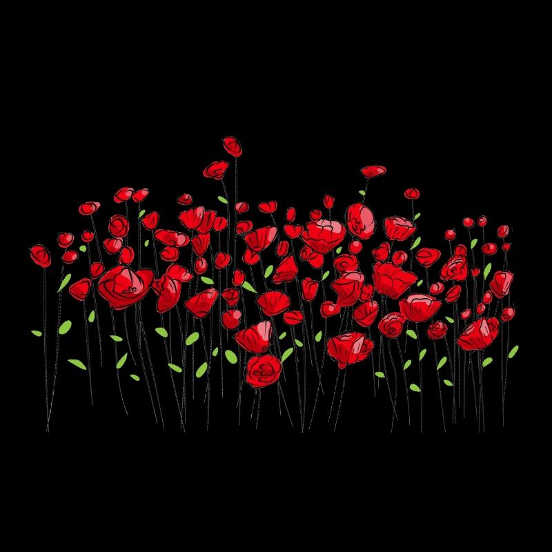 Coquelicots fleurs de pavot fleurs