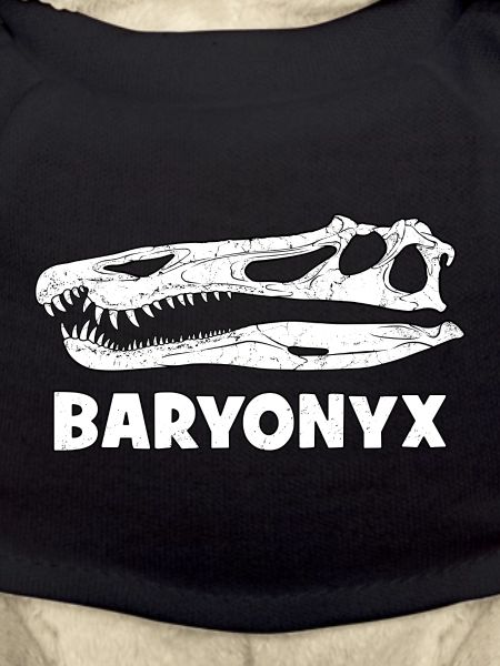 Baryonyx Fossil Head