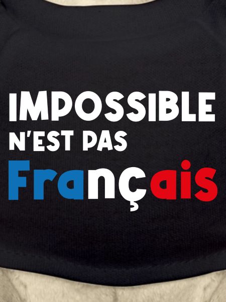 impossible n'est pas français