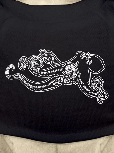 Big proud octopus