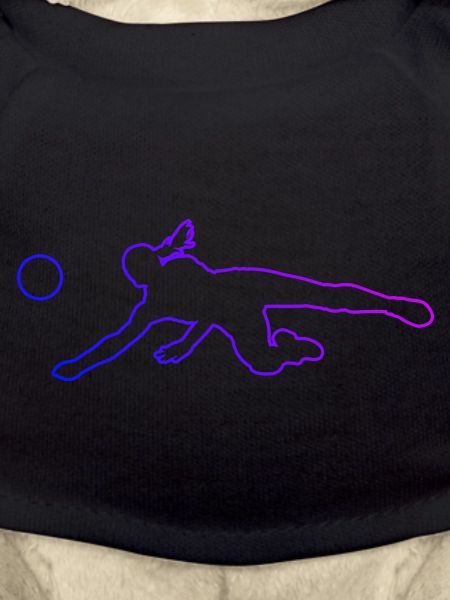 Volley-ball masculin Volley-ball Volley-ball