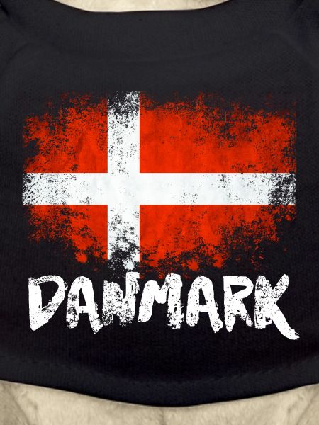 Danmark Denmark Flag