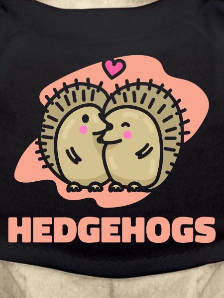 Valentine's Day Gift Hedgehog