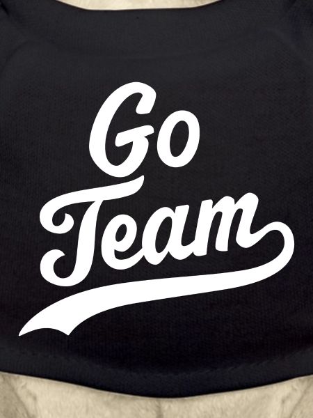 Go team