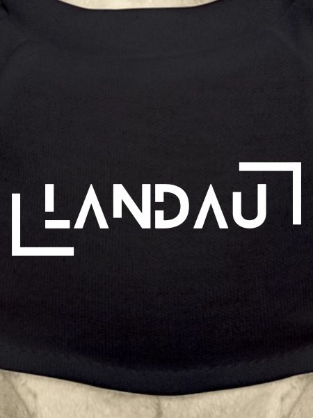 Landau