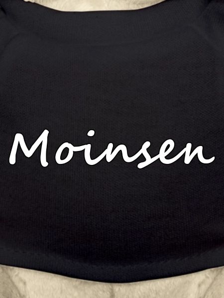 Moinsen