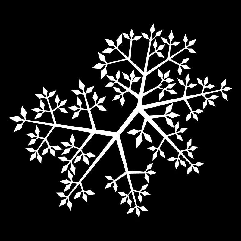 Nature branches branches leaves