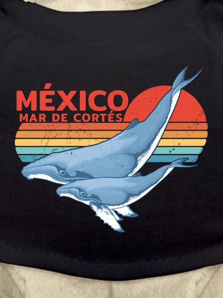 Buckelwale Mexiko
