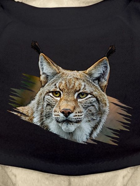 Lynx