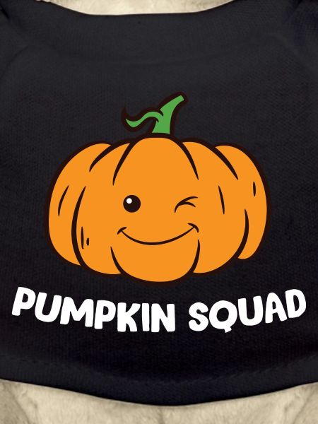 Pumpkin - Pumpkin Squad