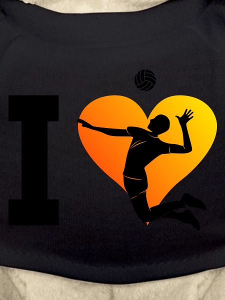 Volleyeur Volley Volley Hommes
