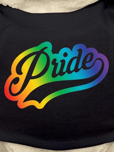 Pride Script out clr