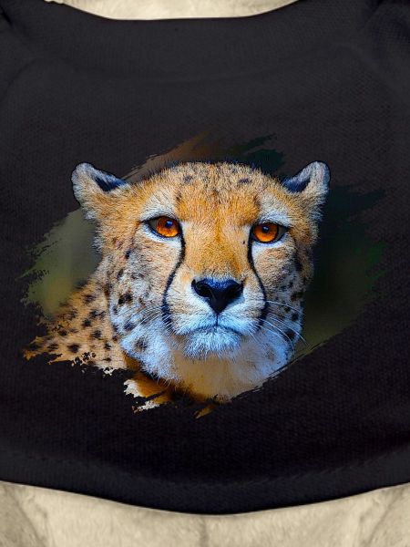 Guépard